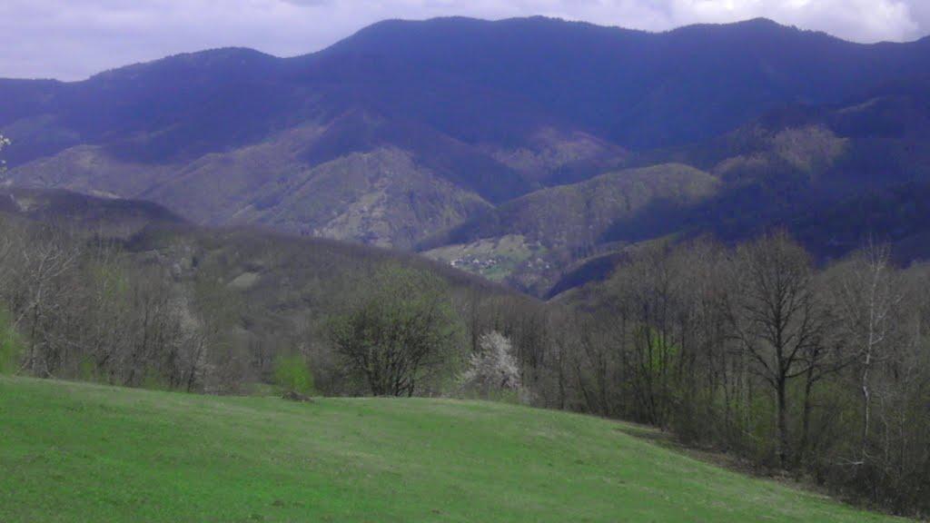 Луг з panoramio.com - Луг
