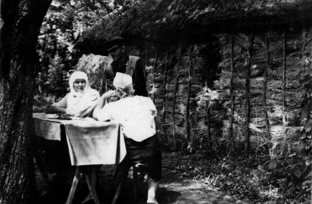 Довгалівка з panoramio.com - Довгалівка