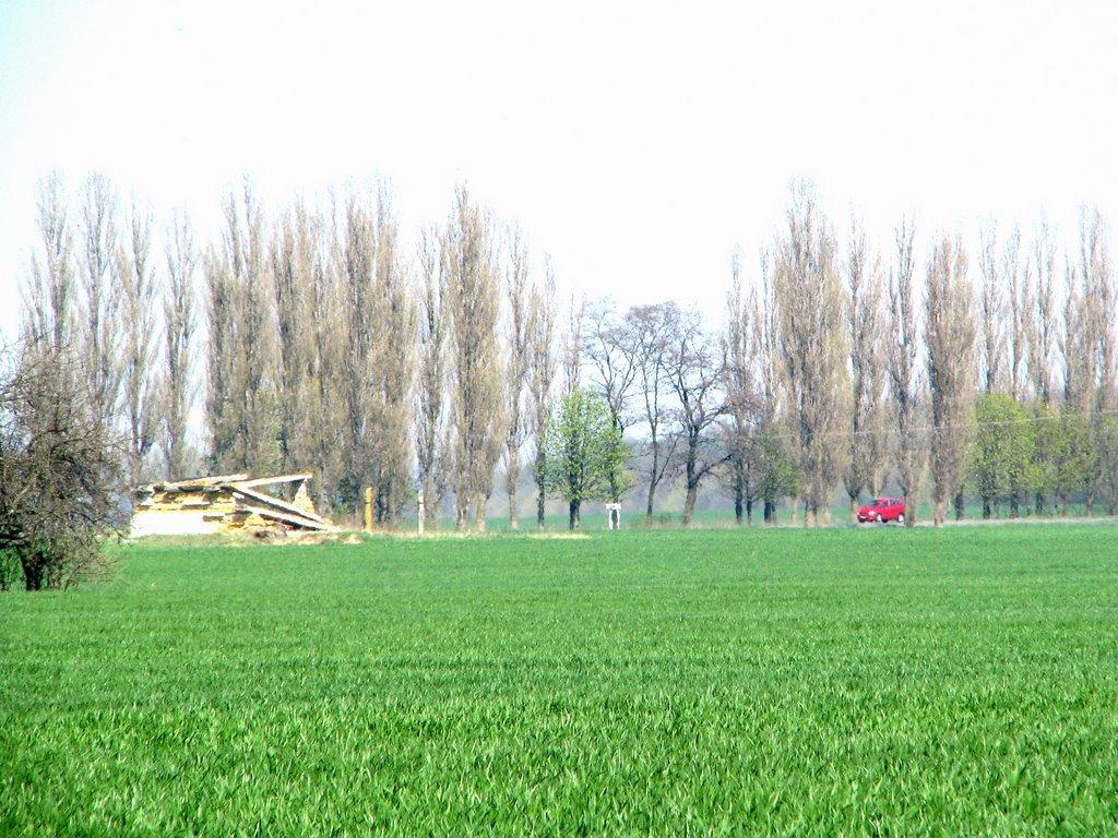 Марківці з panoramio.com - Марковцы