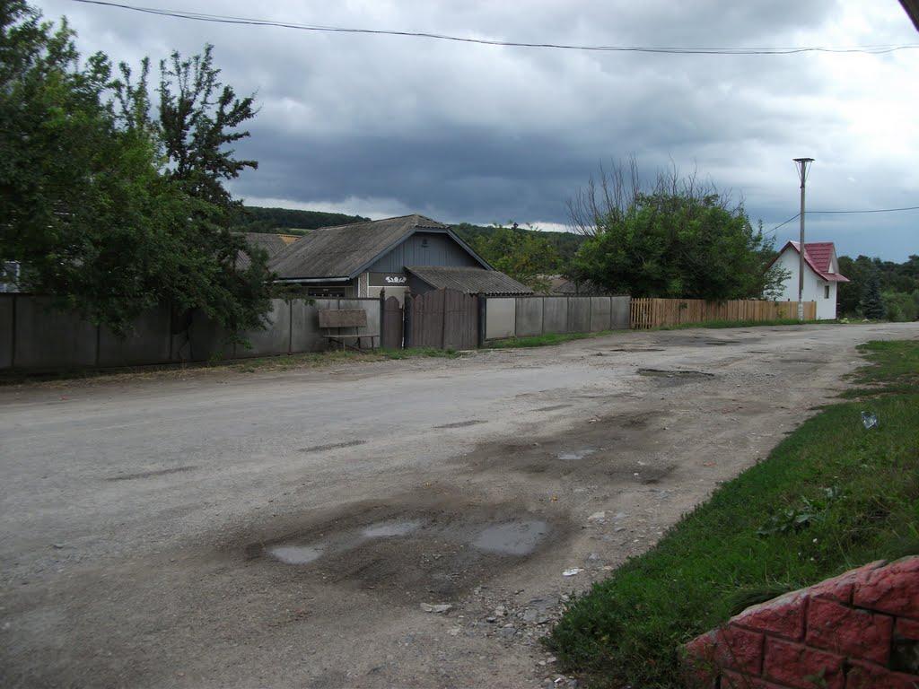 Королівка з panoramio.com - Королевка