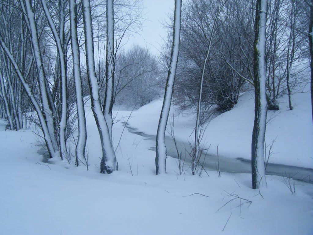 Могилівка з panoramio.com - Могилевка