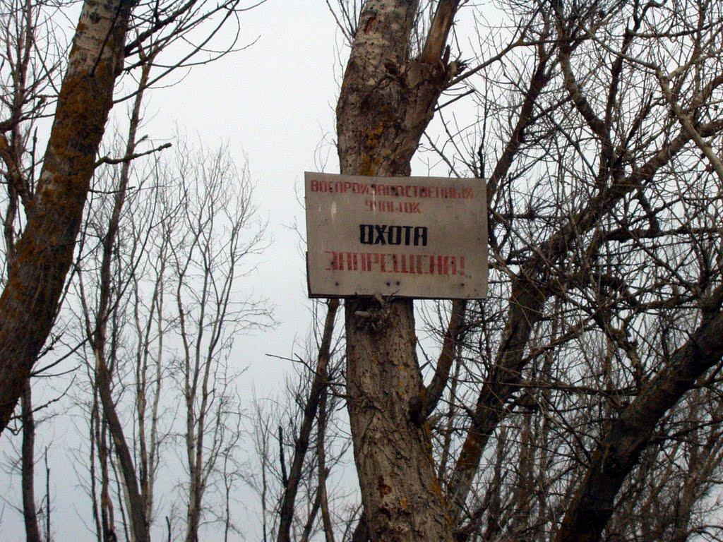 Миколаївське з panoramio.com - Николаевское