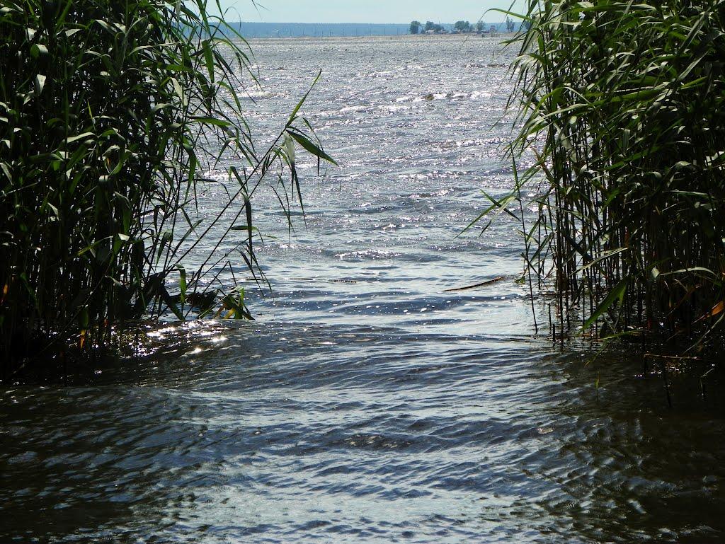 Чапаєвка з panoramio.com - Чапаевка