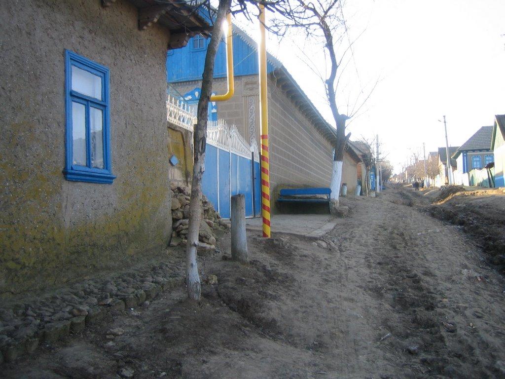 Городнє з panoramio.com - Gorodnye