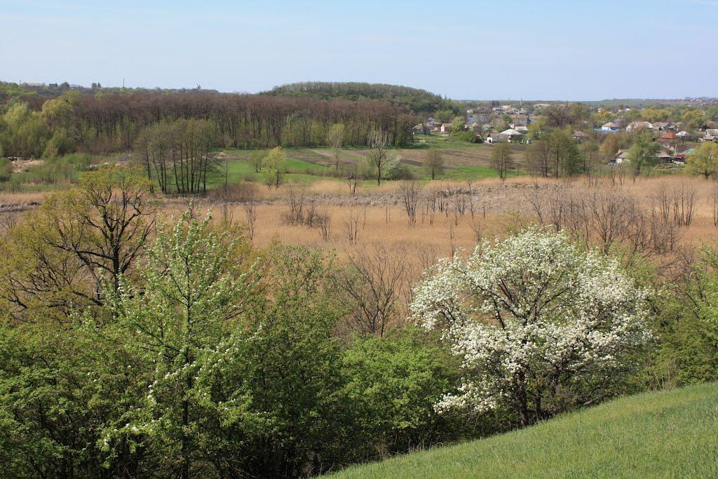 Загородище з panoramio.com - Загородище