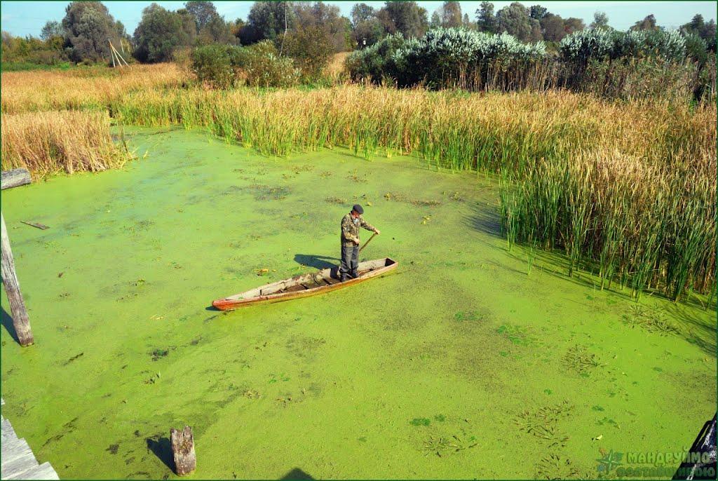 Каплинці з panoramio.com - Каплинці