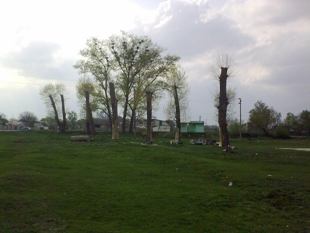 Гоголів з panoramio.com - Гоголев