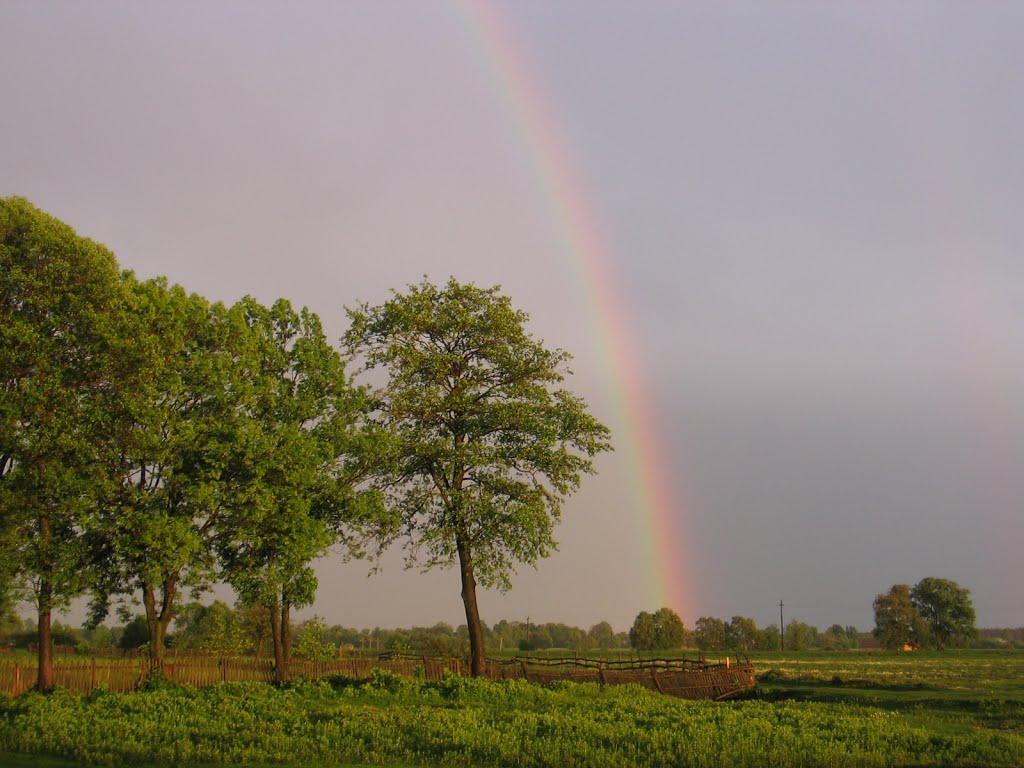 Дмитрів з panoramio.com - Дмитрів