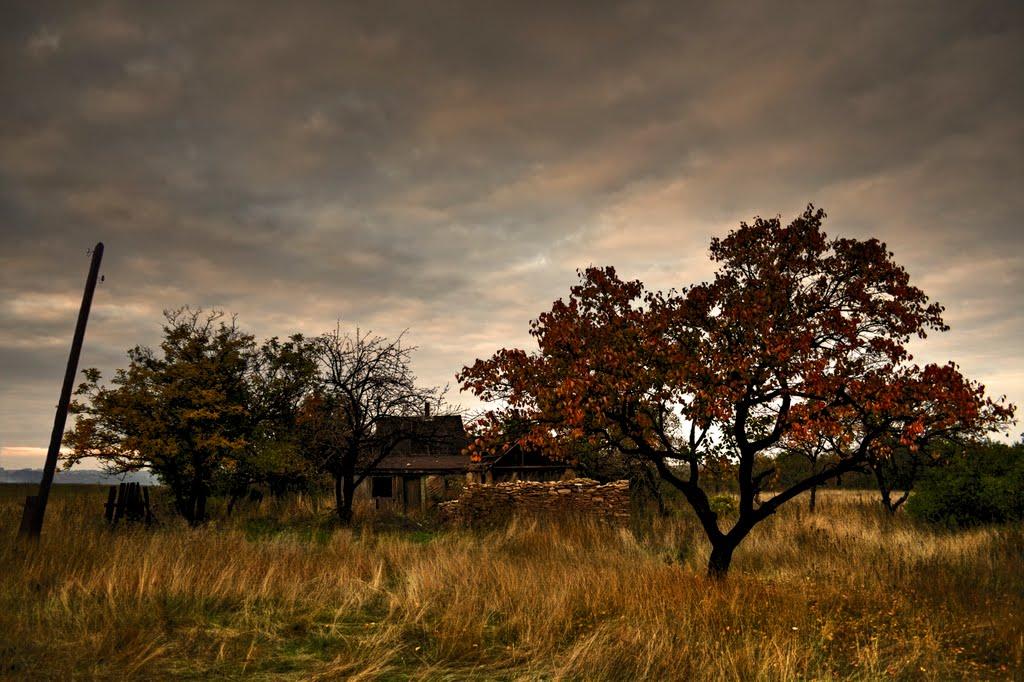 Брянка з panoramio.com (ч.2) - Брянка