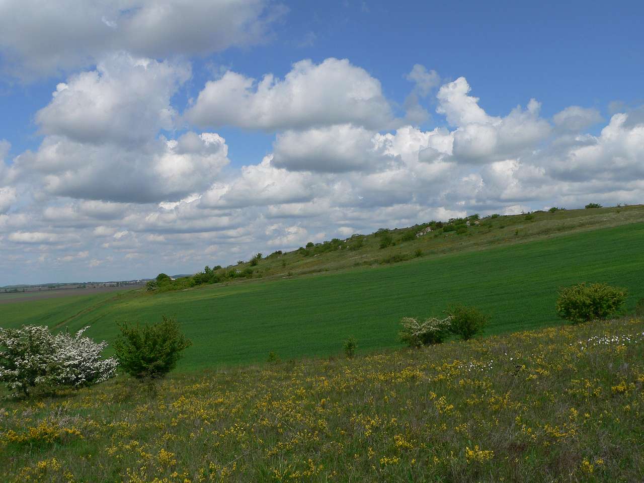 природа - Gorodnytsya