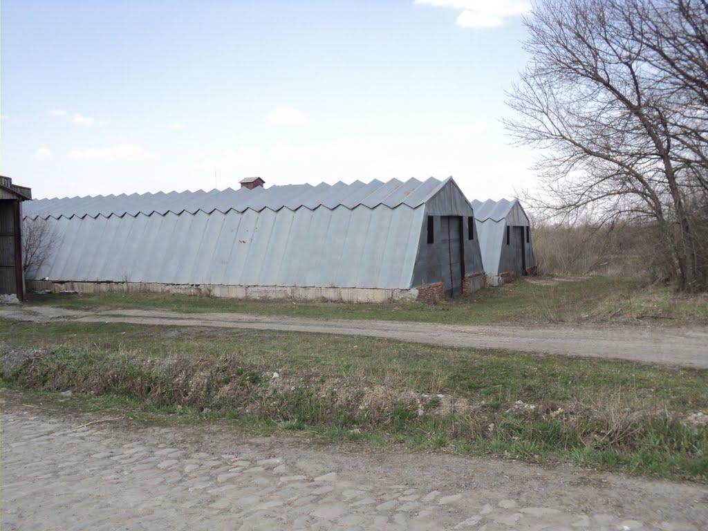 Осоївка з panoramio.com - Осоївка