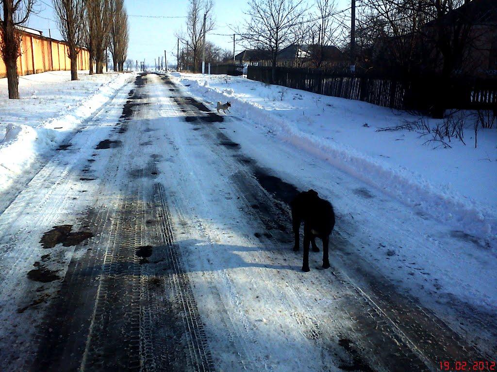 Суворове з panoramio.com - Суворово