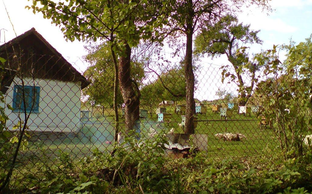 Дуляби з panoramio.com - Дулябы