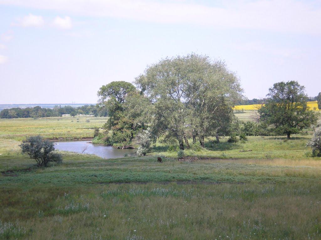 Новогришине з panoramio.com - Новогришине