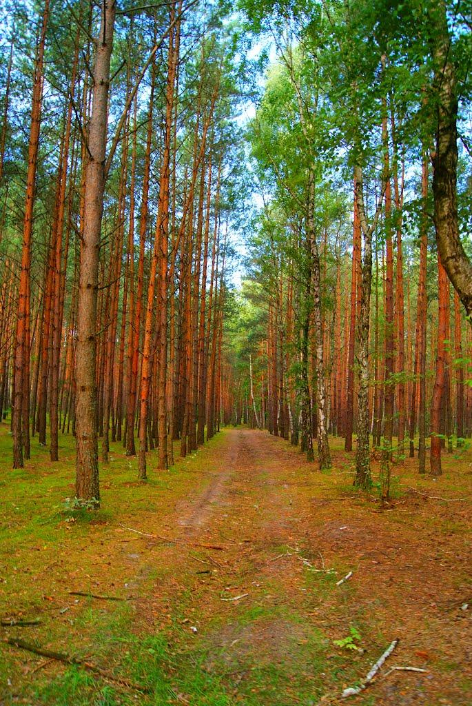 Семки з panoramio.com - Семки