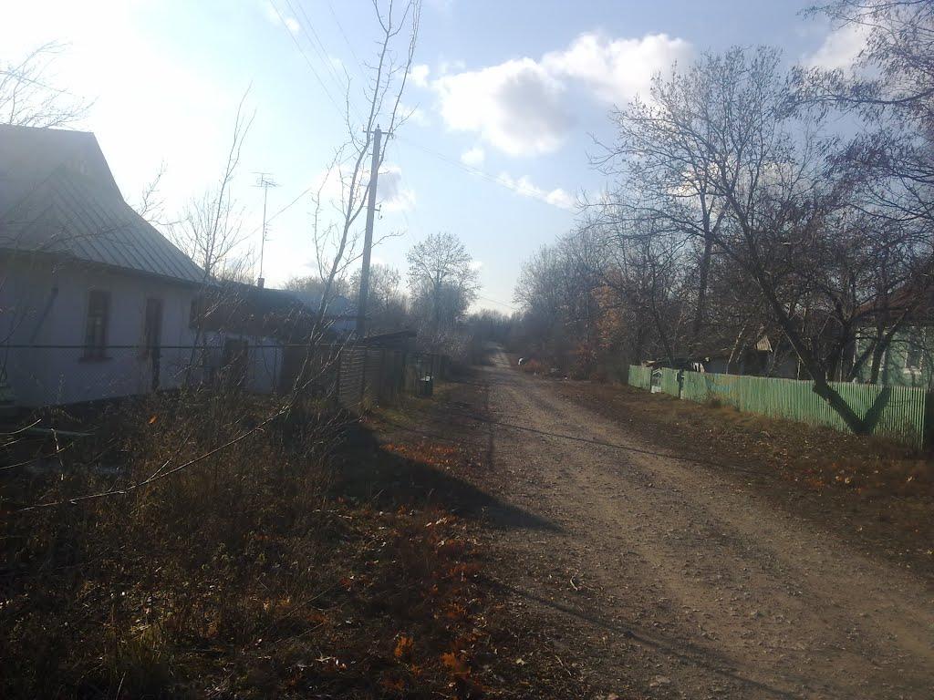 Рясне з panoramio.com - Рясное