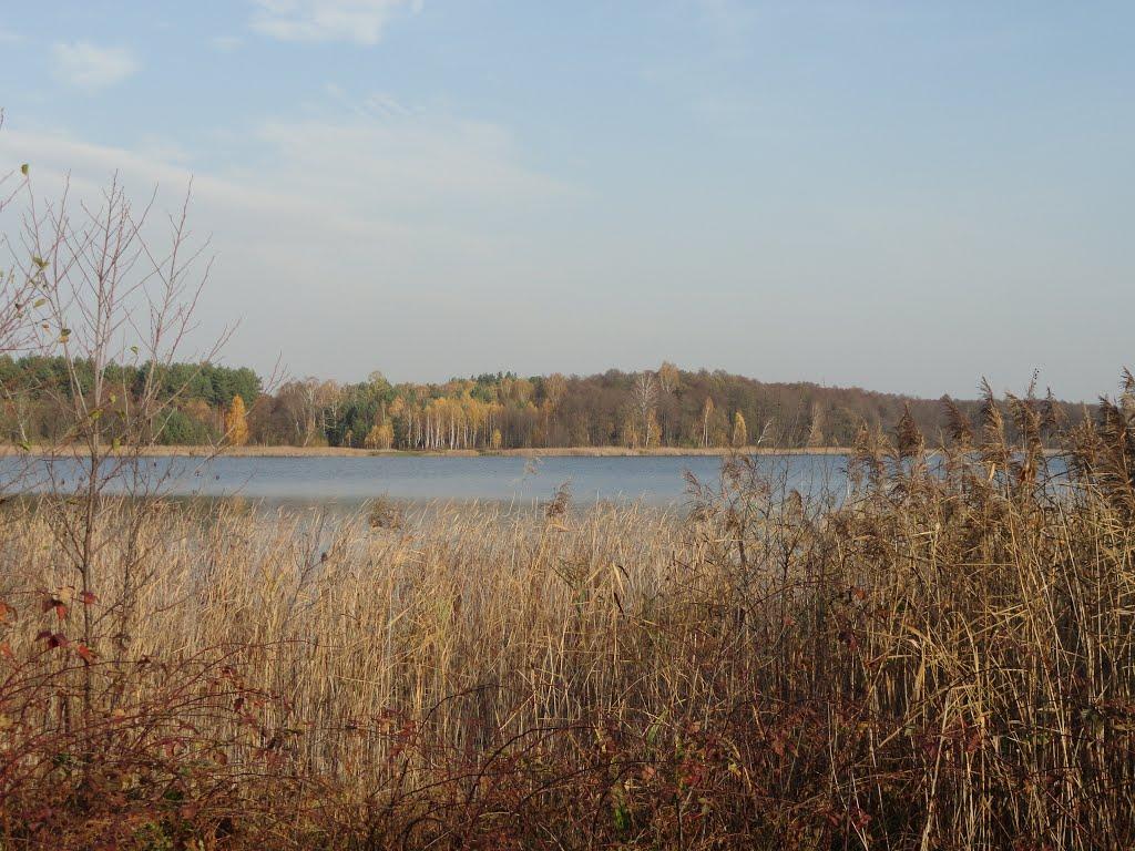 Карасин з panoramio.com - Карасин