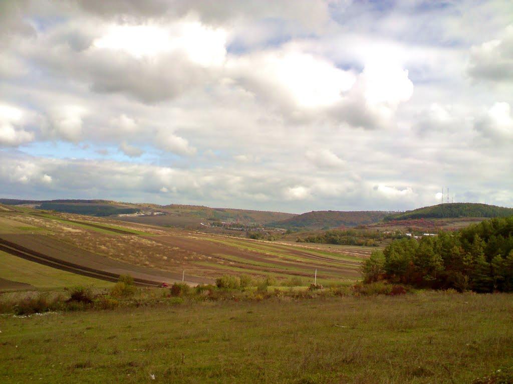 Куряни з panoramio.com - Куряни