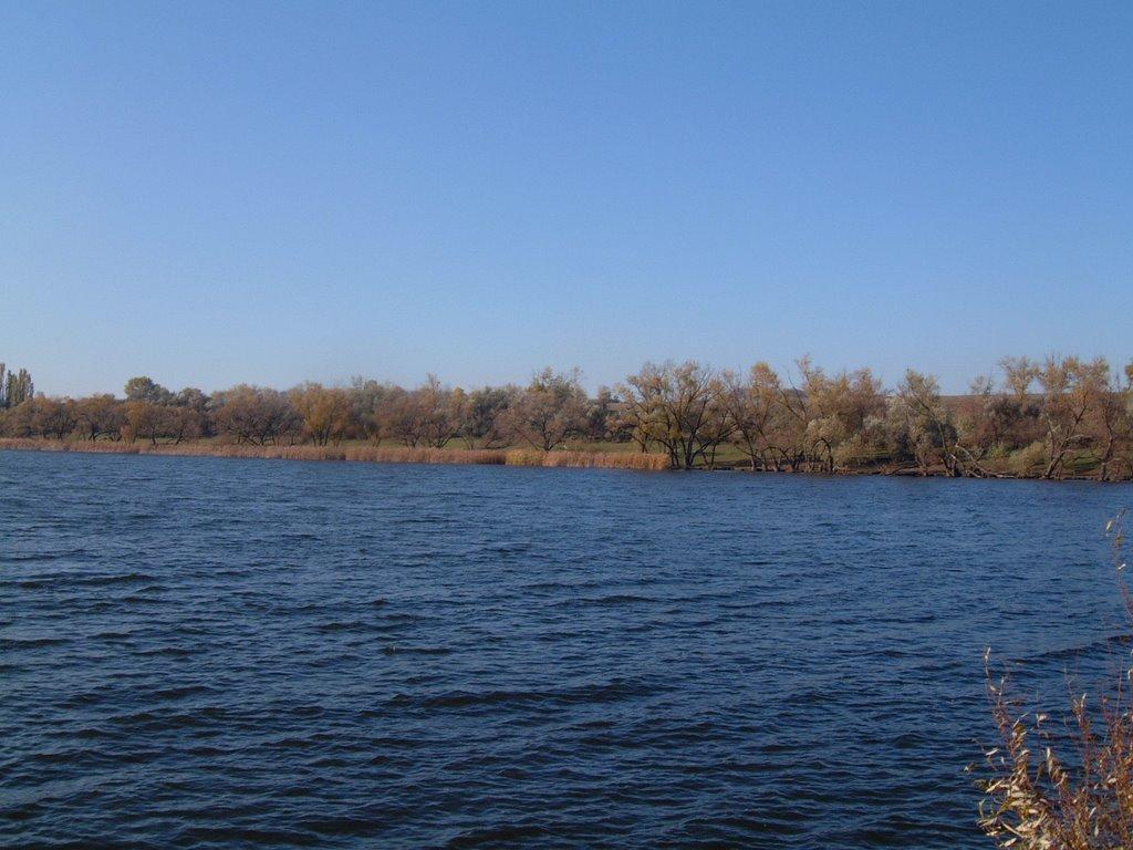 Новий Стародуб з panoramio.com - Новий Стародуб