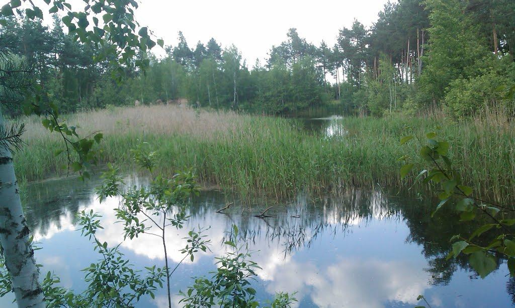 Малинськ з panoramio.com - Малинск