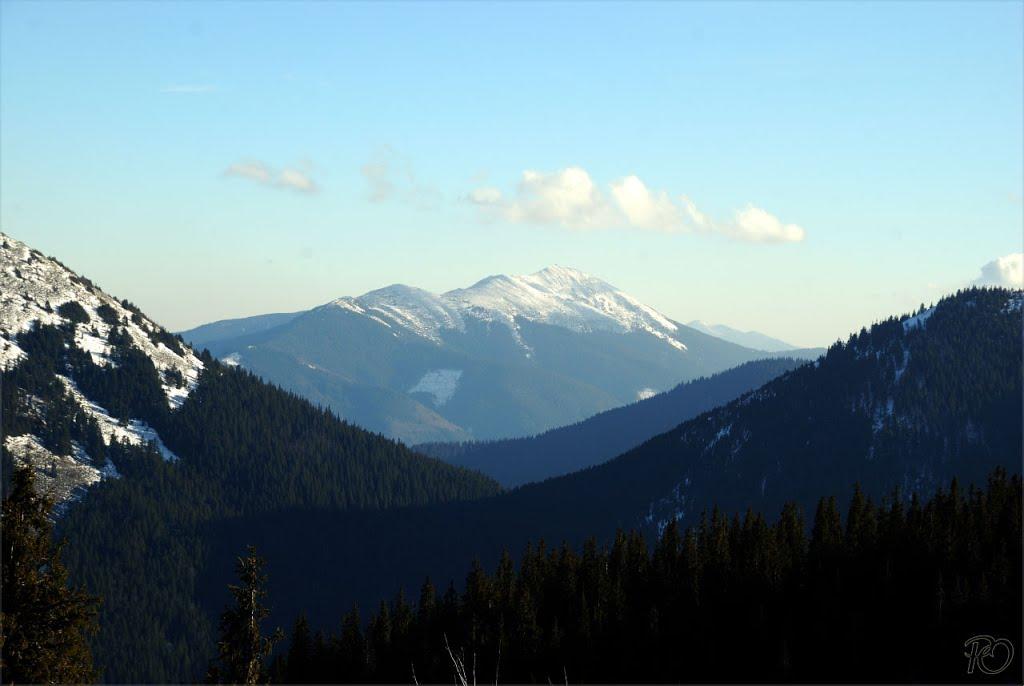 Осмолода з panoramio.com (ч.2) - Осмолода