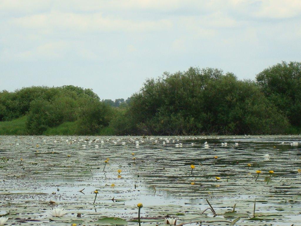 Слабин з panoramio.com - Slabyn