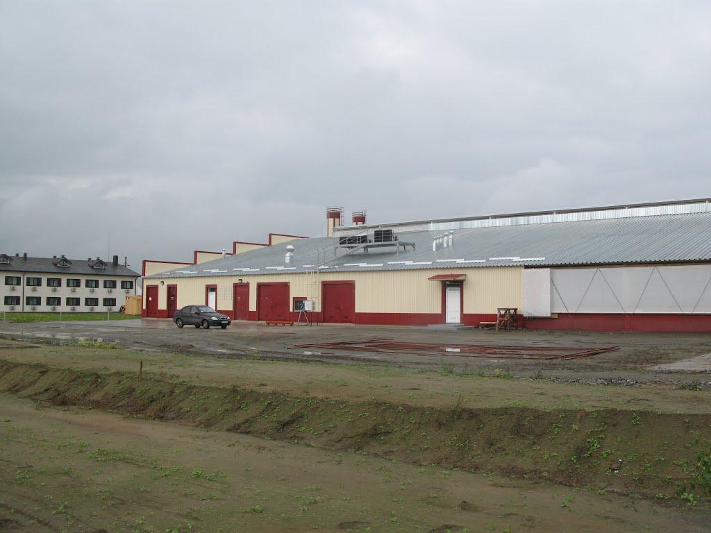 Красносільське з panoramio.com - Красносельское