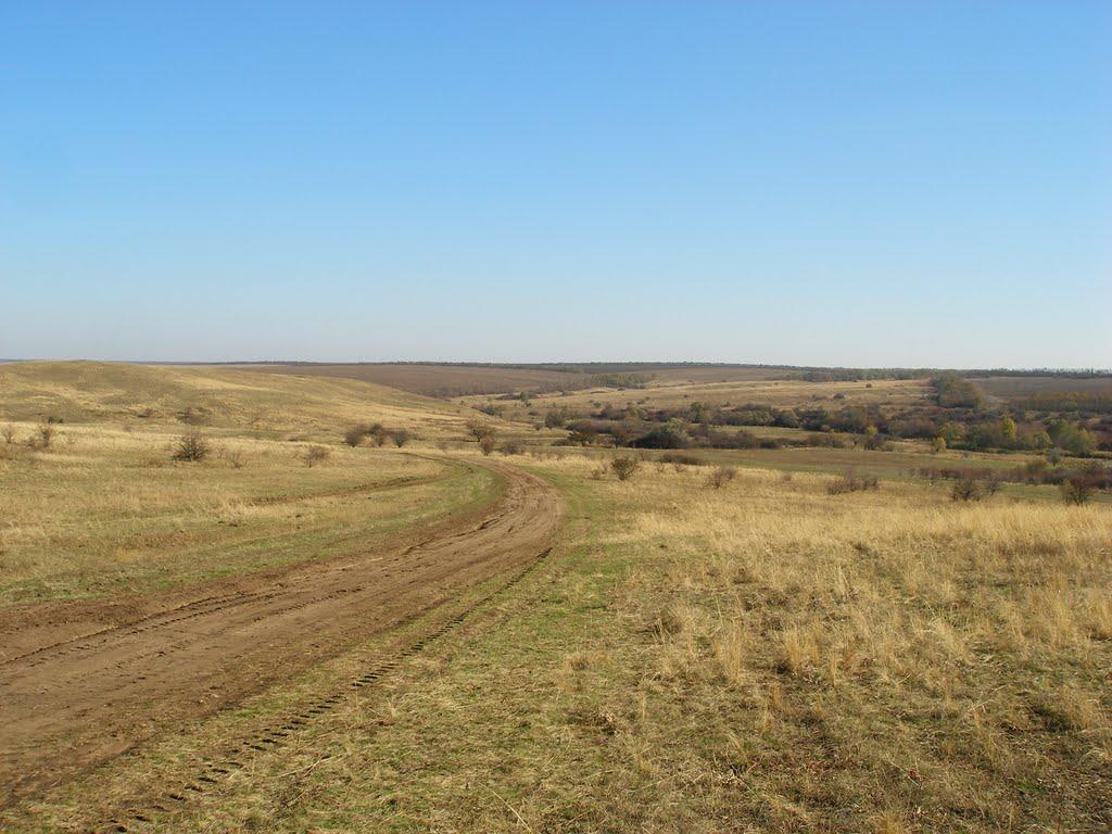 Новоолексіївка з panoramio.com - Новоалексеевка