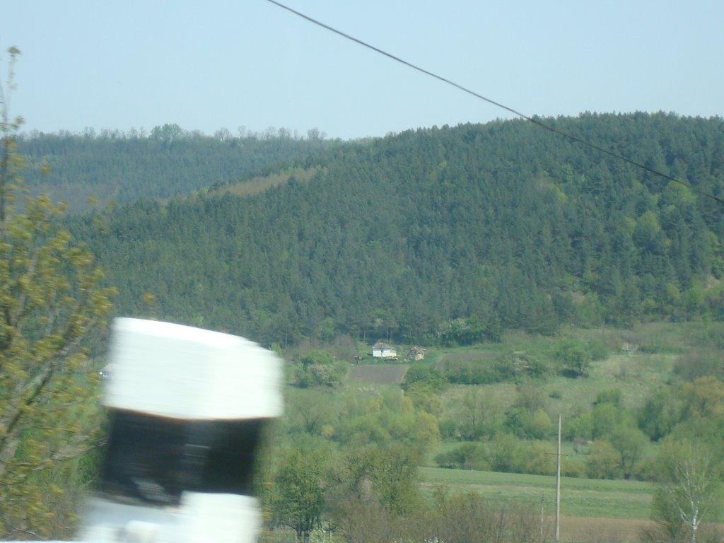 Миньківці з panoramio.com - Миньківці