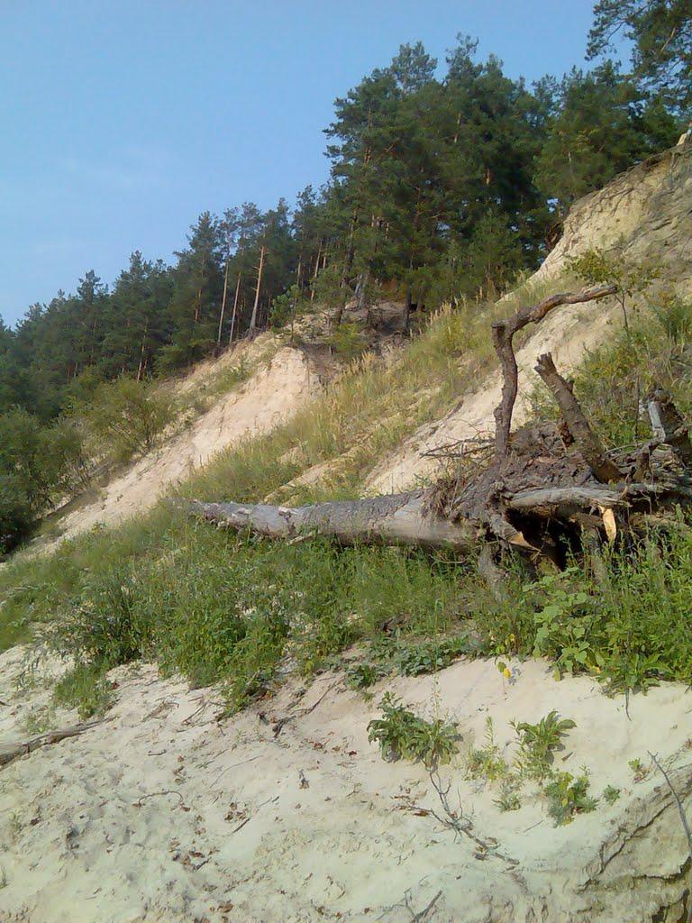 Гірки з panoramio.com - Горки