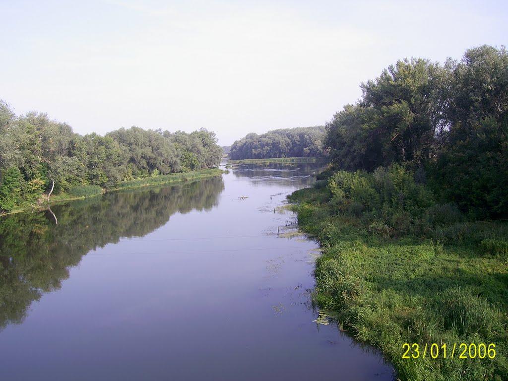 Студенок з panoramio.com - Студенок