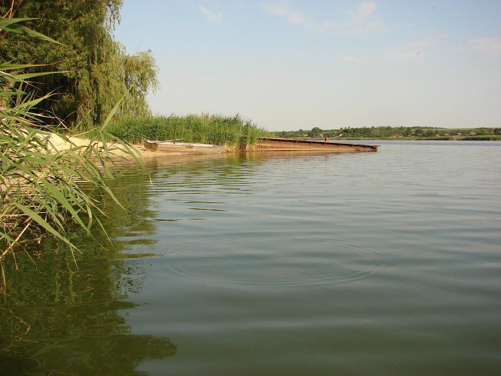 Новогришине з panoramio.com - Новогришине