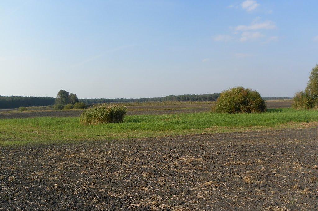 Чехівка з panoramio.com - Чеховка