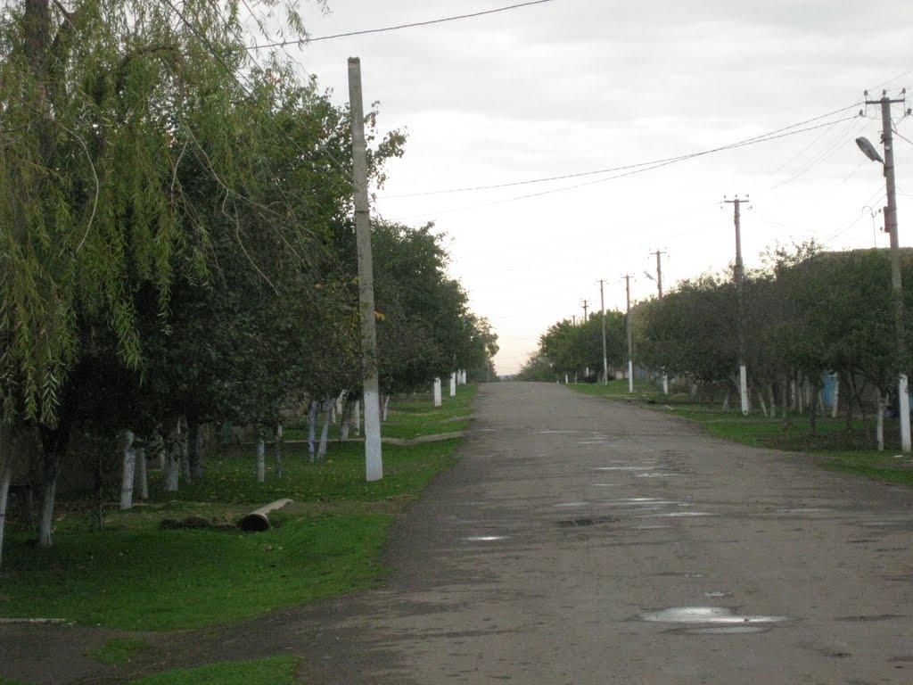 Дмитрівка з panoramio.com - Дмитрівка