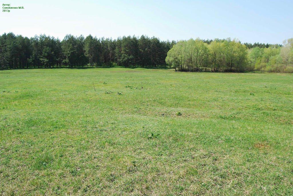 Сухорабівка з panoramio.com - Сухорабовка