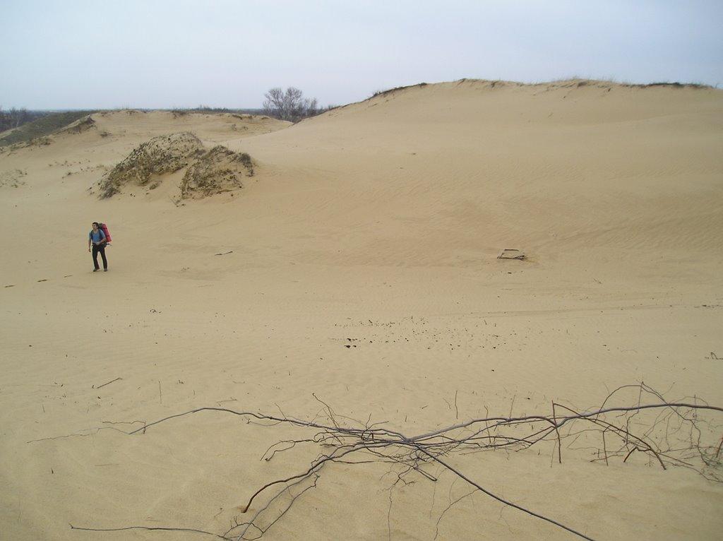 Пролетарка з panoramio.com - Пролетарка