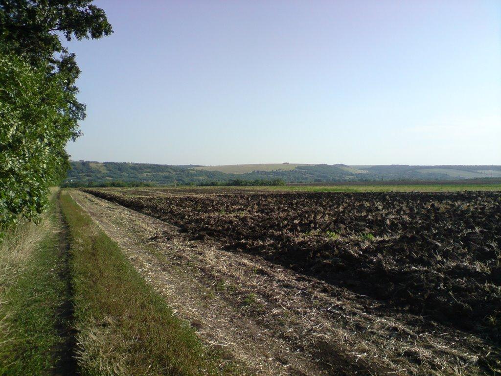 Немирівське з panoramio.com - Немировское