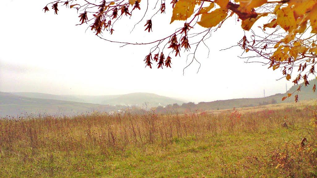 Куряни з panoramio.com - Куряны