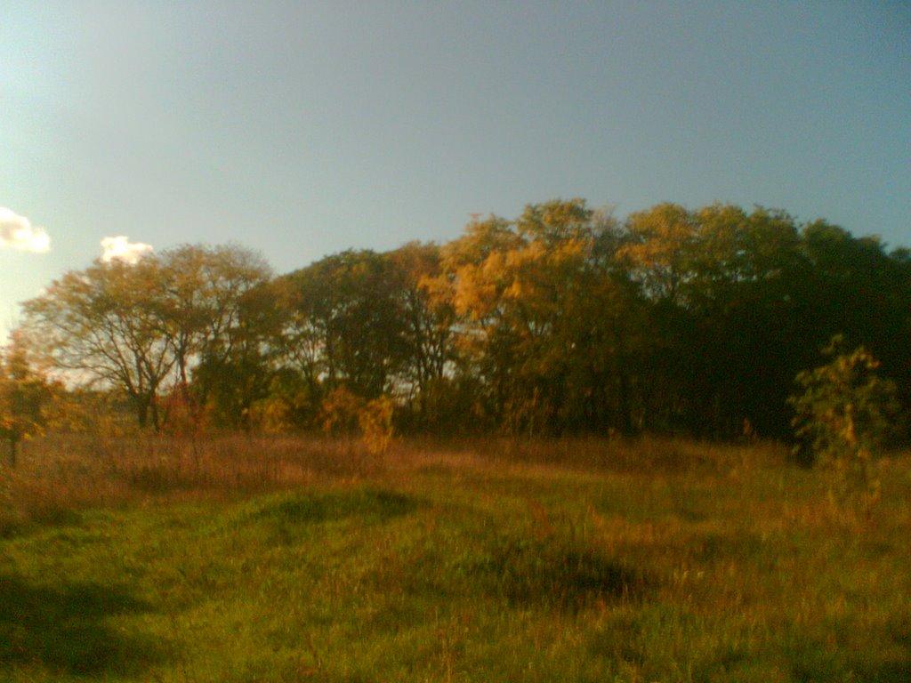 Чистоводне з panoramio.com - Чистоводное