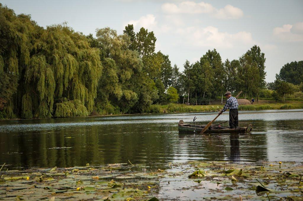 Теслугів з panoramio.com - Теслугів