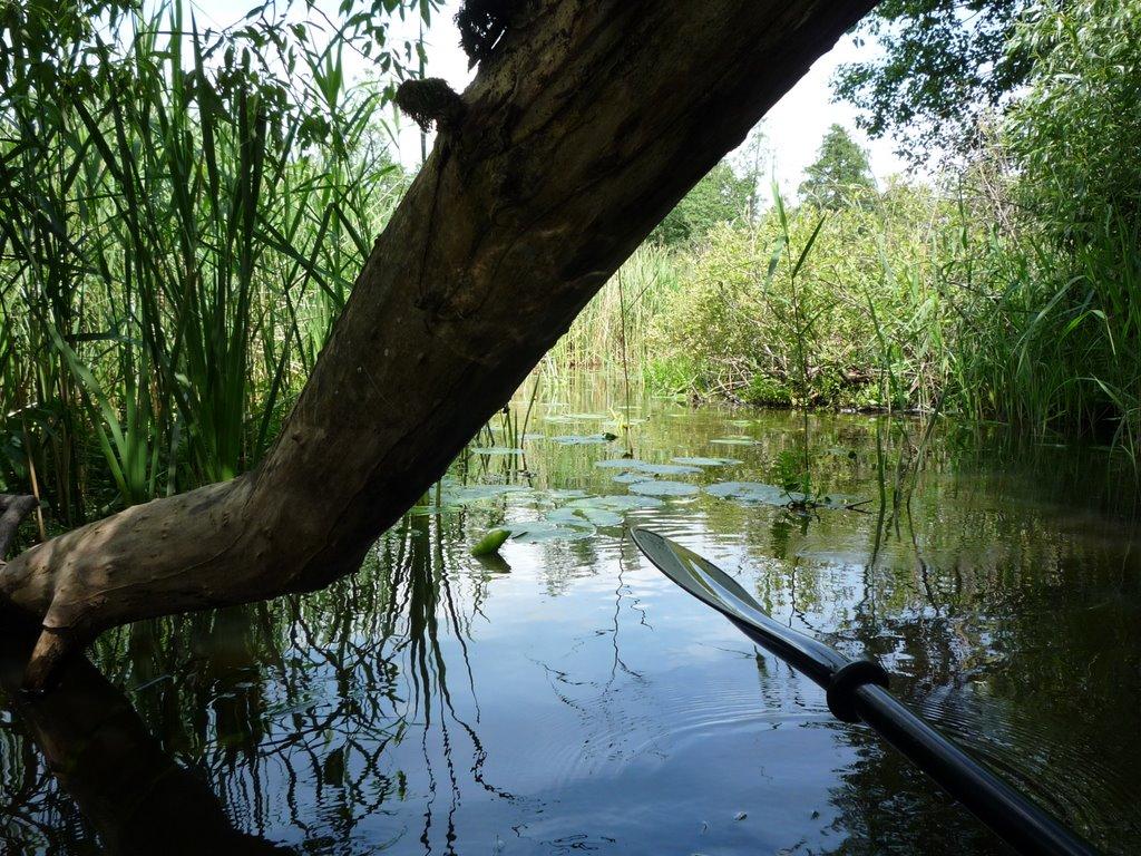 Бережниця з panoramio.com - Berezhnytsya