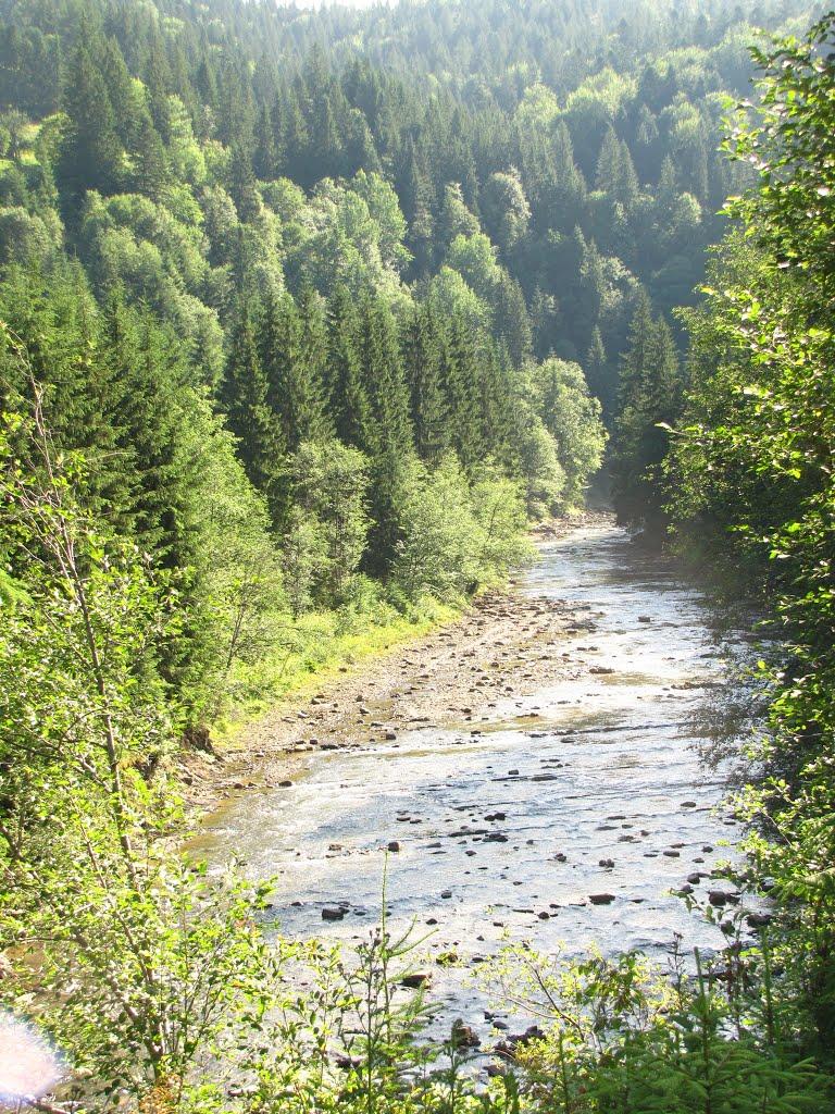 Вороненко з panoramio.com - Вороненко