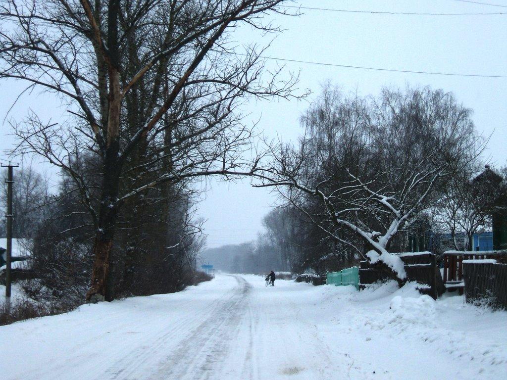 Чернацьке з panoramio.com - Чернацкое