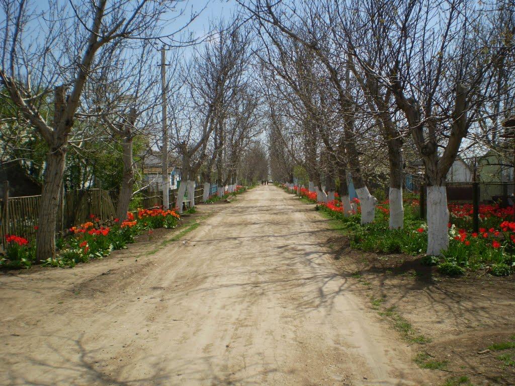 Стахановка з panoramio.com - Стахановка