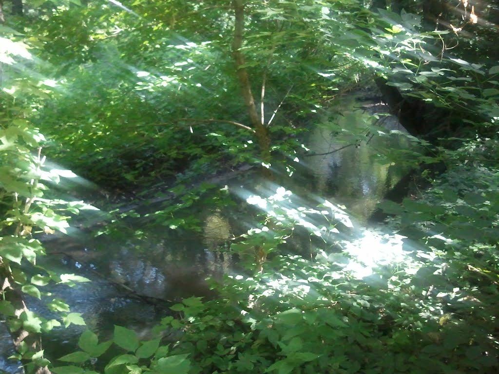 Лиман Перший з panoramio.com - Лиман Перший