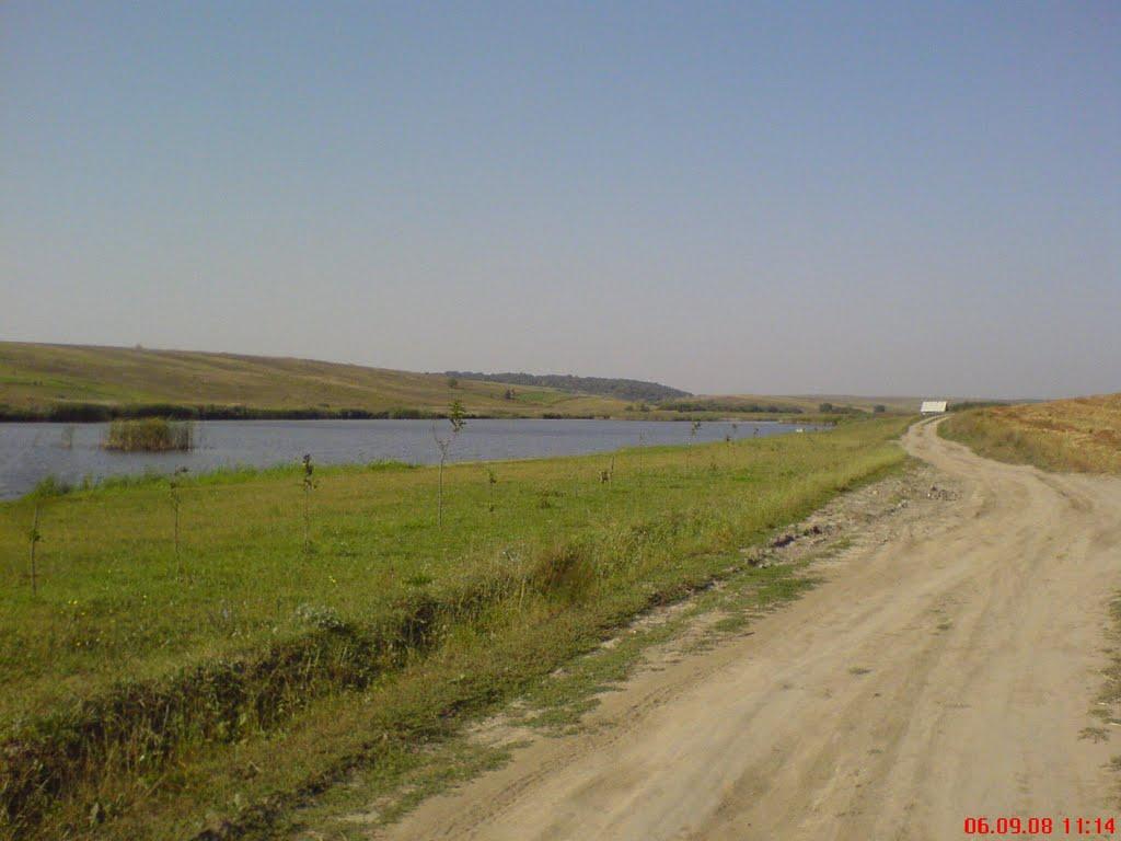 Лепесівка з panoramio.com - Лепесівка