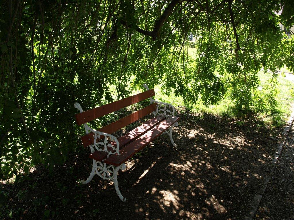 Астей з panoramio.com - Астей