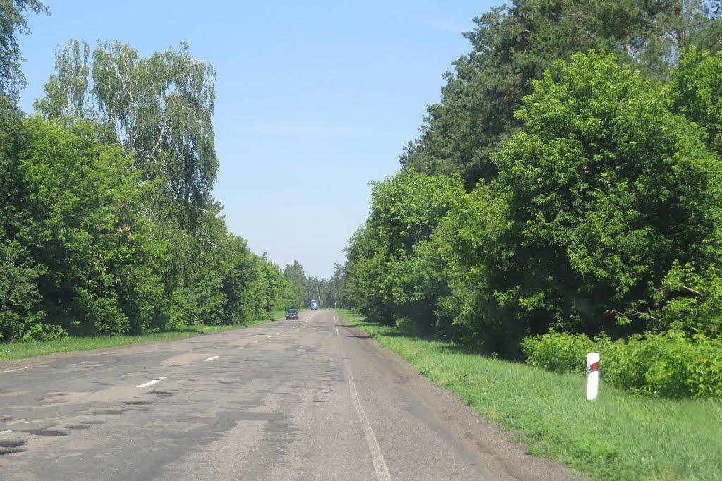 Березняки з panoramio.com - Березняки