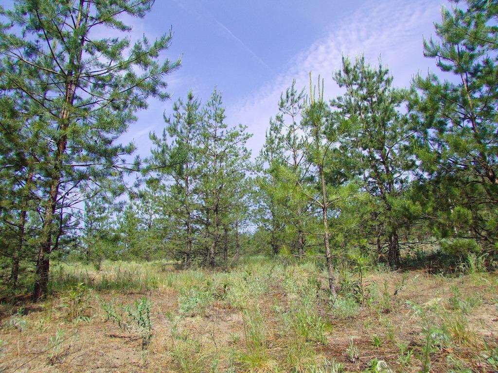 Есхар з panoramio.com - Эсхар