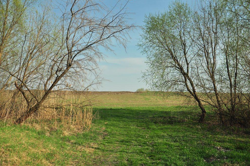 Фарбоване з panoramio.com - Фарбованое